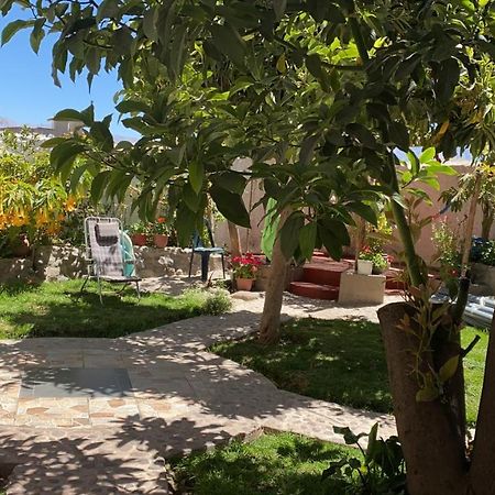 Las Palmeras Eco Hostel Cabanaconde Esterno foto